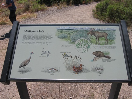 Willow Flats Sign